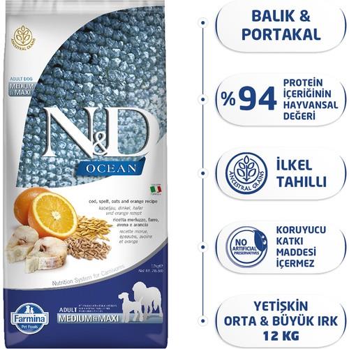 N&D Ocean Düşük Tahıllı Balıklı Portakallı Orta Ve Büyük Irk Yetişkin Köpek Maması 12 Kg