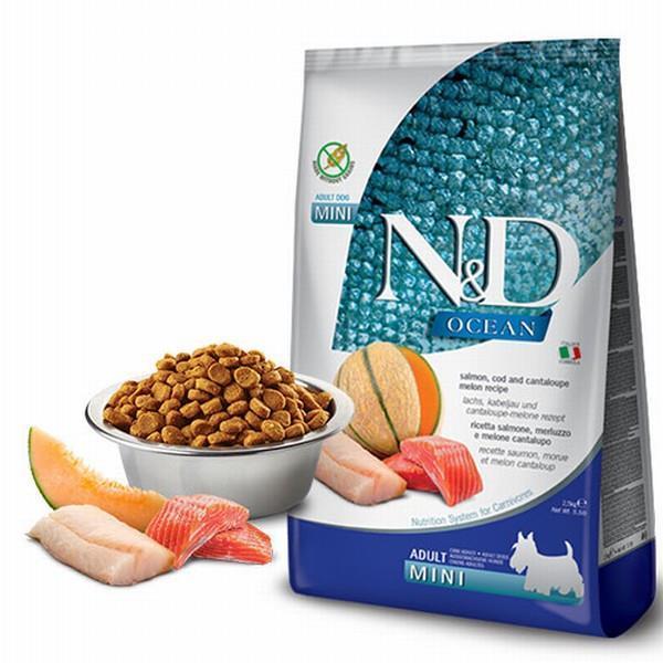 N&D Ocean Somonlu Morina Balıklı ve Kavunlu Tahılsız Mini Irk Yetişkin Köpek Maması 7kg