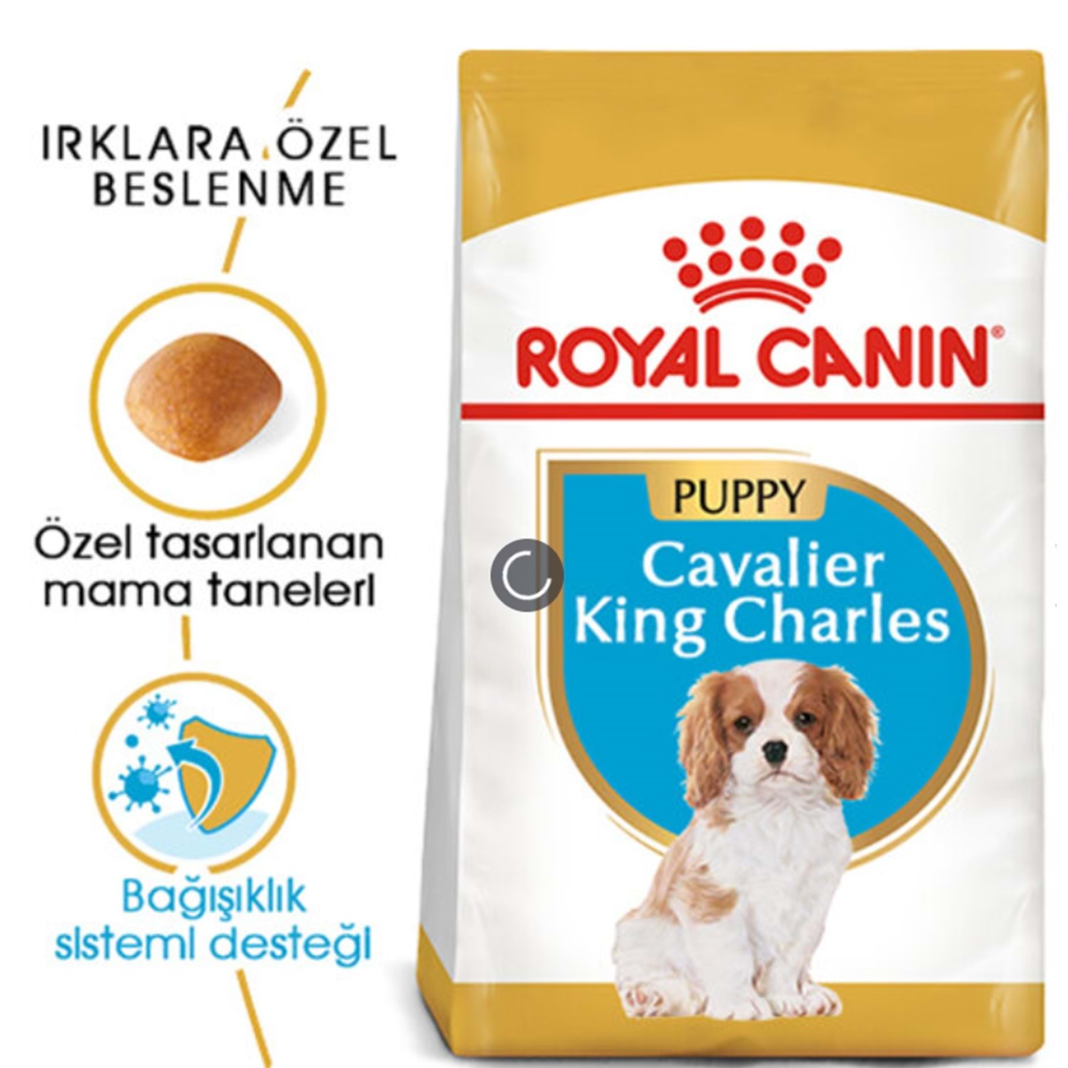 Royal Canin Cavalier King Charles Junior Yavru Köpek Maması 1,5 kg