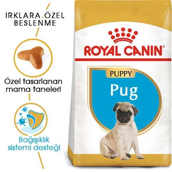 Royal Canin Pug Irkı Junior Yavru Köpek Maması 1,5 kg