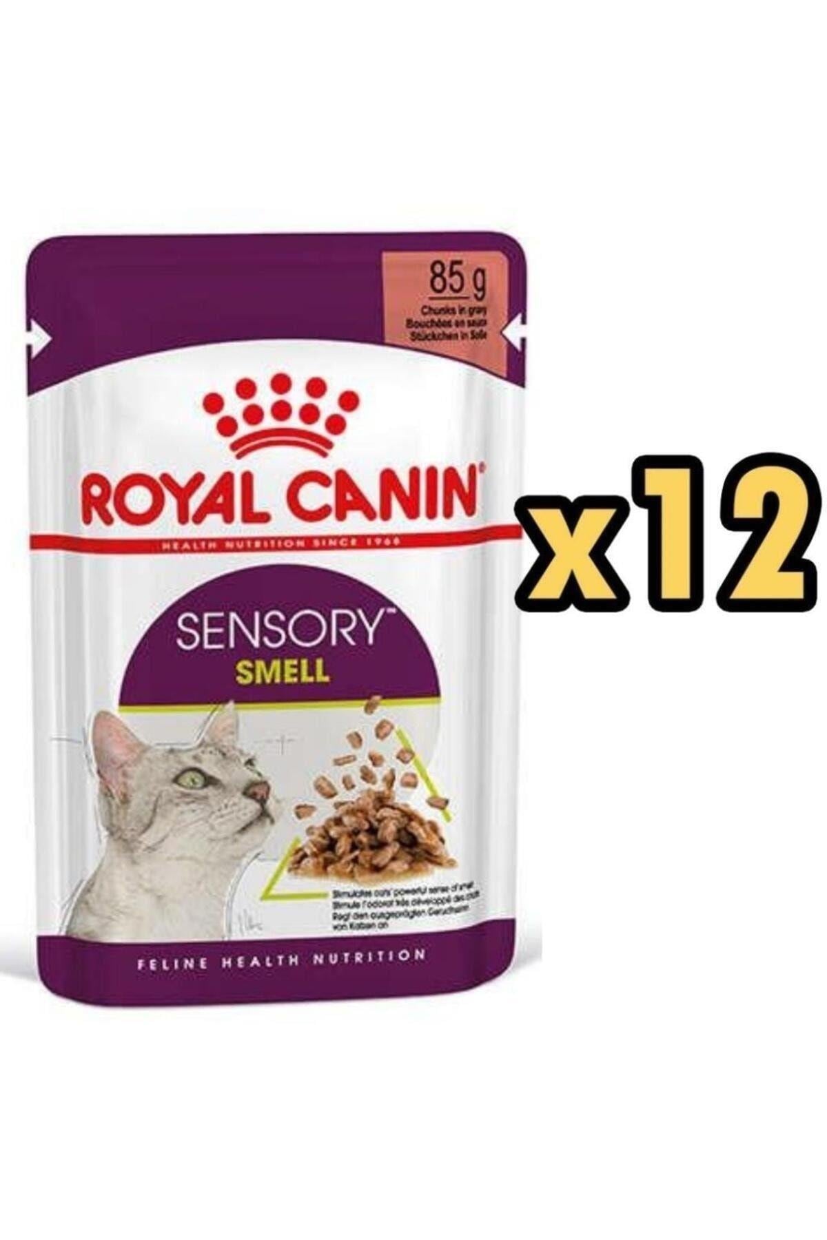 Royal Canin Sensory Smell Yetişkin Kedi Konservesi 85gr x 12 Adet