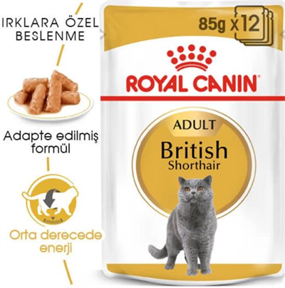 Royal Canin British Shorthair İçin Özel Yetişkin Kedi Maması 85 gr