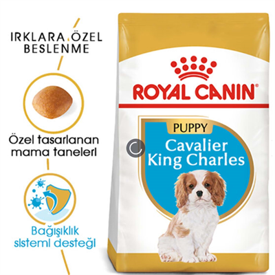 Royal Canin Cavalier King Charles Junior Yavru Köpek Maması 1,5 kg
