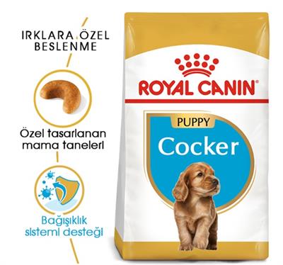 Royal Canin Cocker Junior Yavru Köpek Maması 3 kg