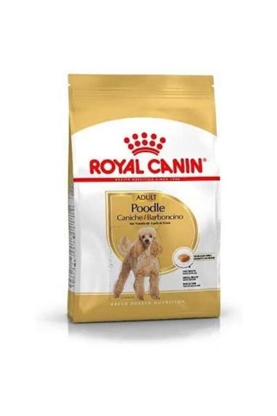 Royal Canin Poodle Adult Yetişkin Köpek Maması 3 kg