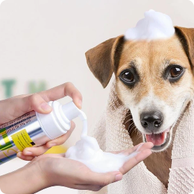 Köpek Şampuanı Nasıl Seçilmeli?