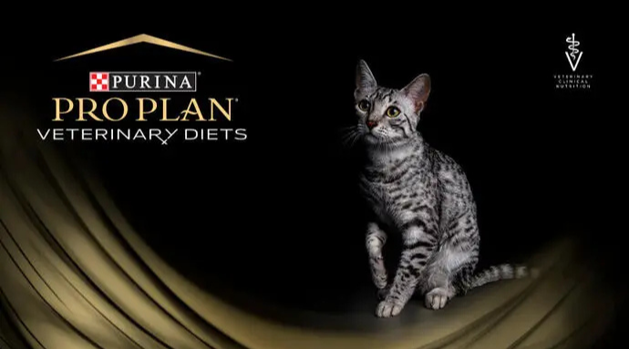 Purina Pro Plan Veterinary Diets kedi mamaları