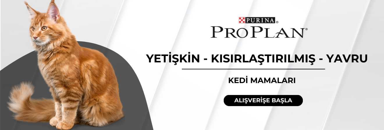 Pro Plan Kedi Mamaları