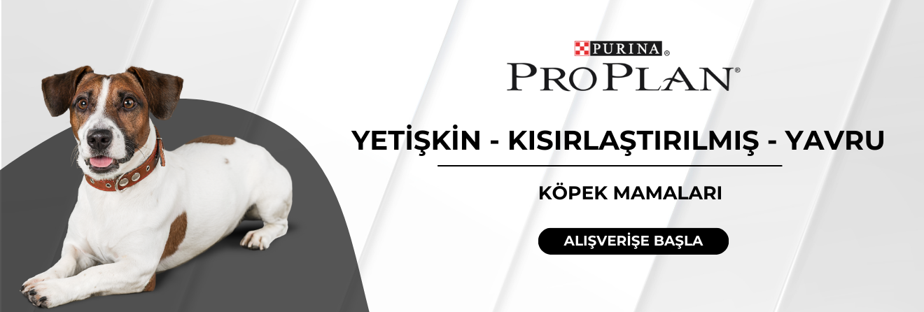 Pro Plan Köpek Mamaları