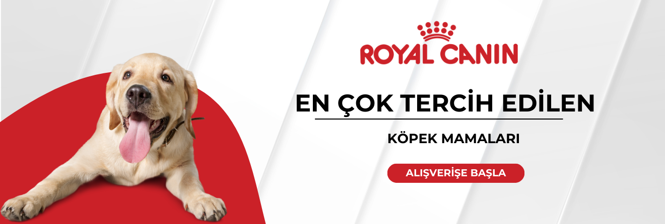 Royal Canin Köpek Mamaları