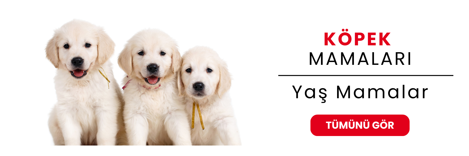 Royal Canin Köpek Yaş Mamaları