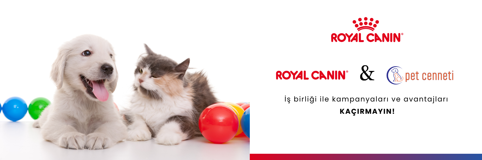 Royal Canin