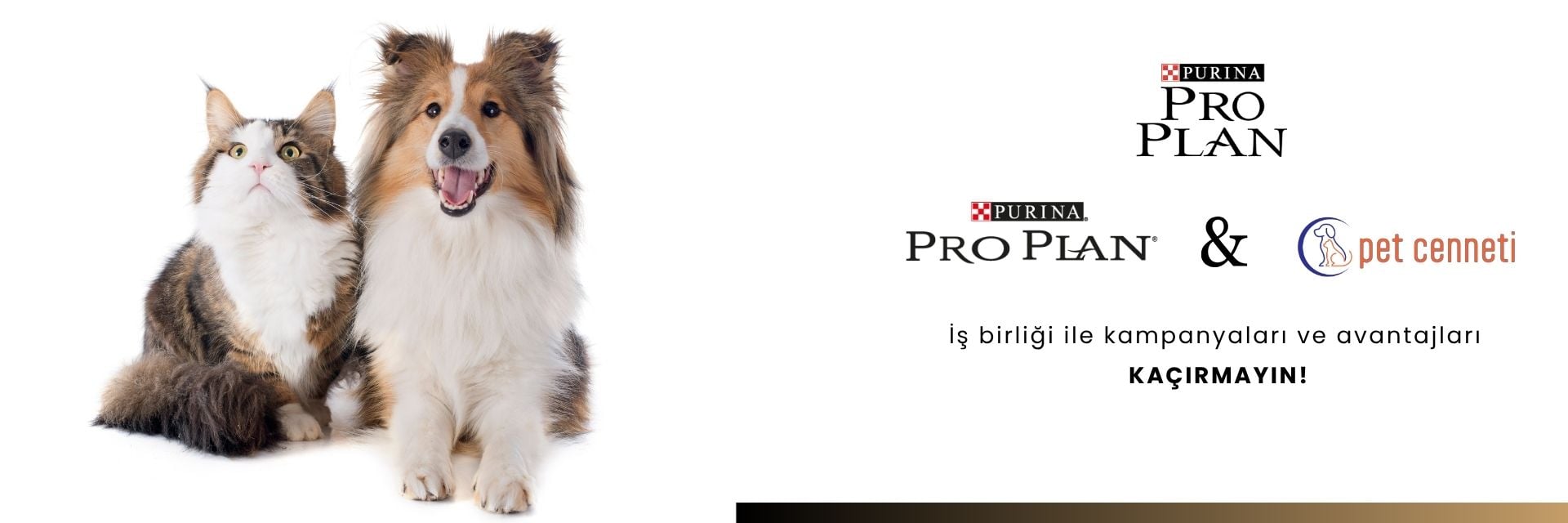 Pro Plan Kedi ve Köpek Mamaları