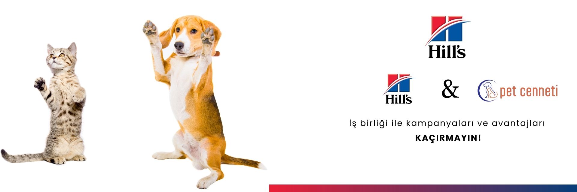 Hill's Kedi ve Köpek Mamaları