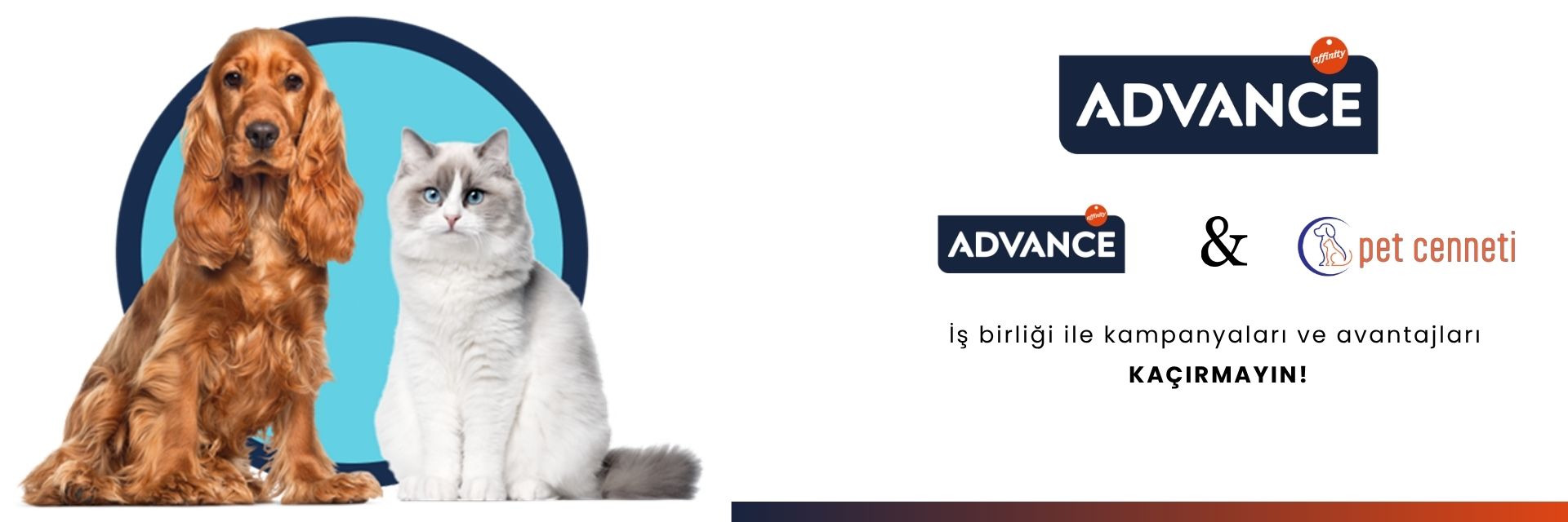 Advance Markalı Kedi ve Köpek Mamaları
