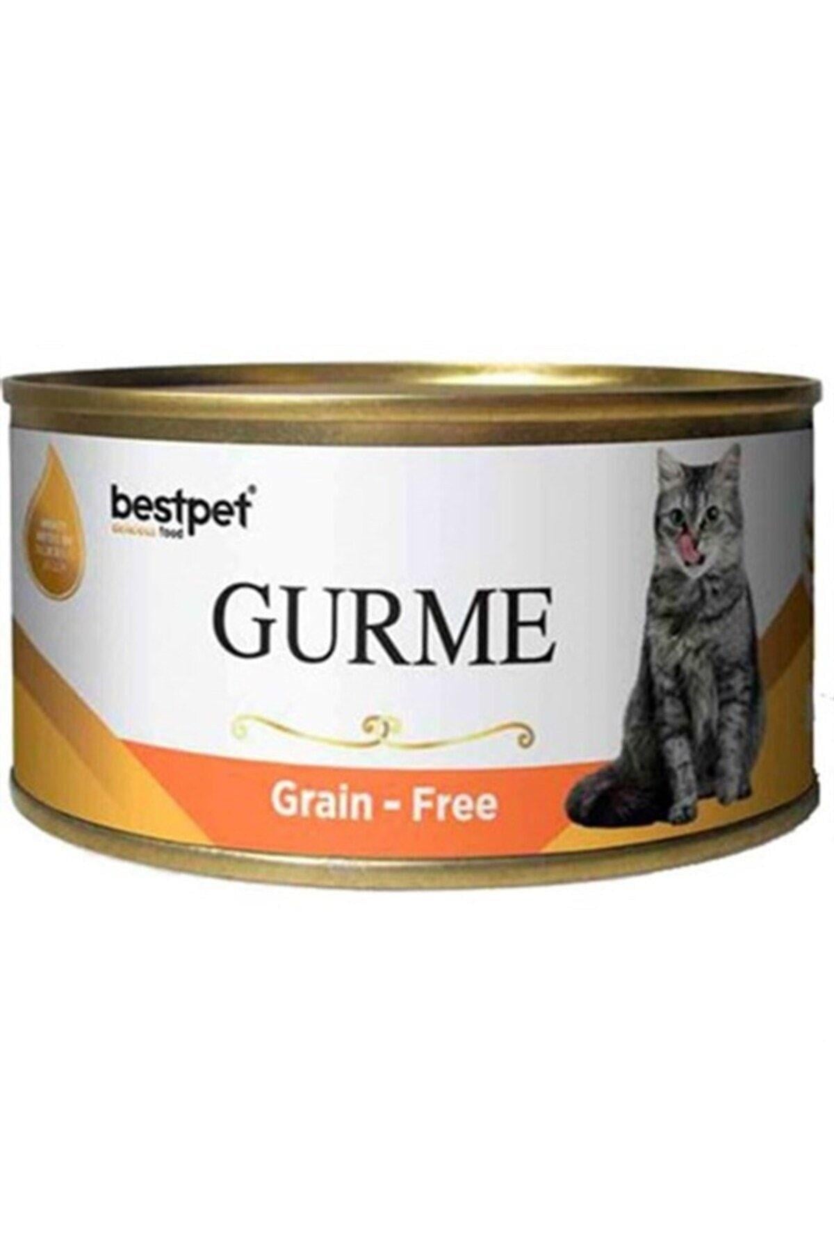 BestPet Gurme Jöle İçinde Somonlu Tahılsız Yetişkin Kedi Konservesi 85gr