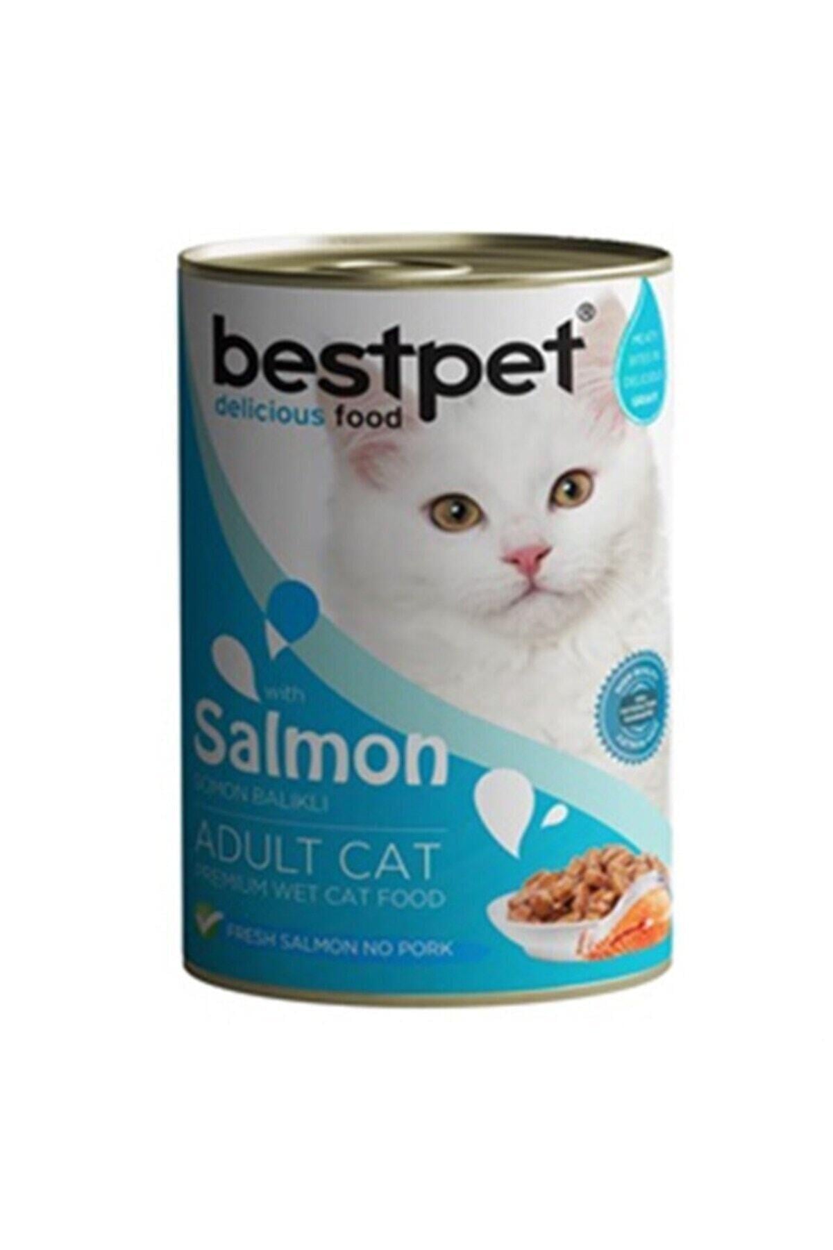BestPet Somon Balıklı Yetişkin Kedi Konservesi 400gr