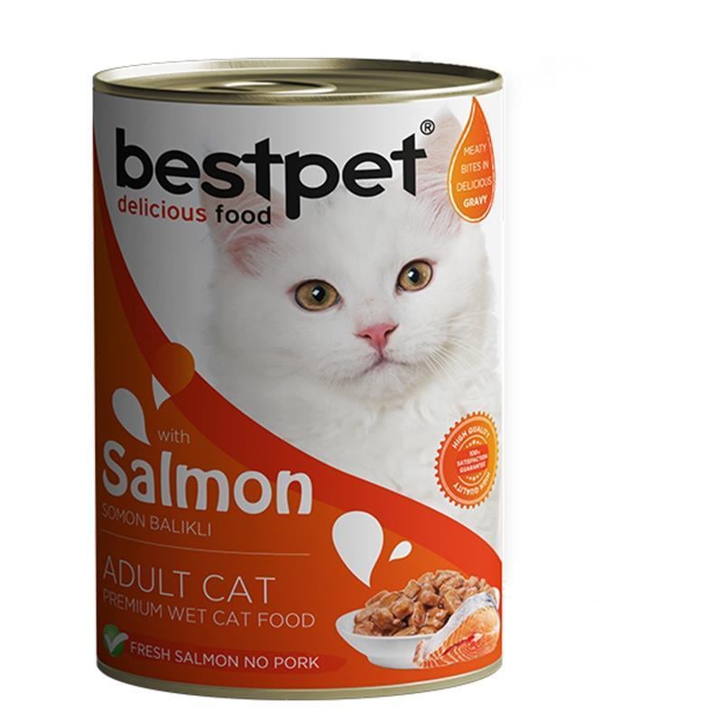 BestPet Somon Balıklı Yetişkin Kedi Konservesi 400gr x 12 adet