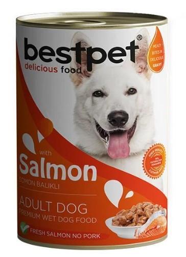 BestPet Somon Balıklı Yetişkin Köpek Konservesi 400gr
