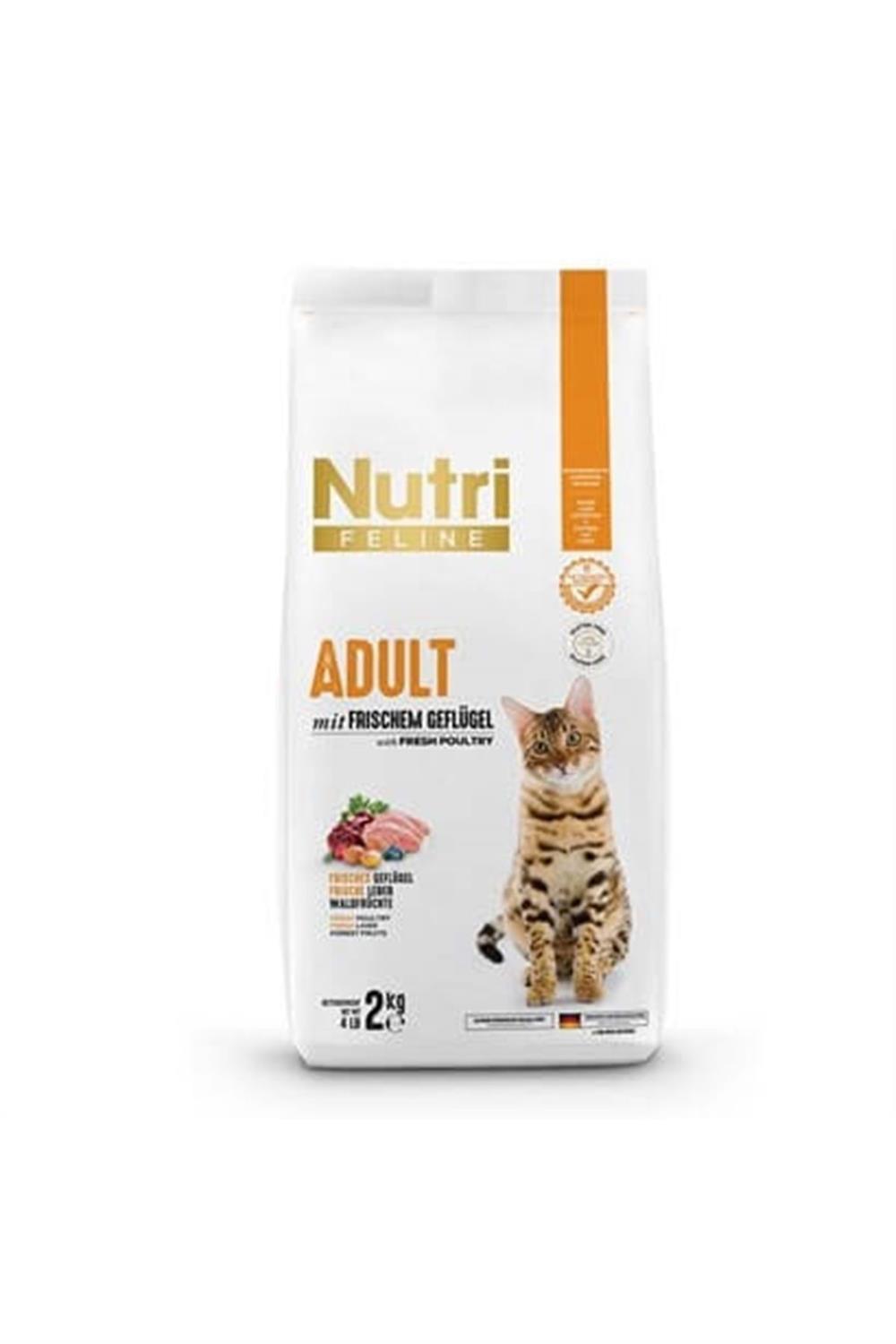 Nutri Feline Glutensiz Kümes Hayvanlı Düşük Tahıllı Yetişkin Kedi Maması 2kg