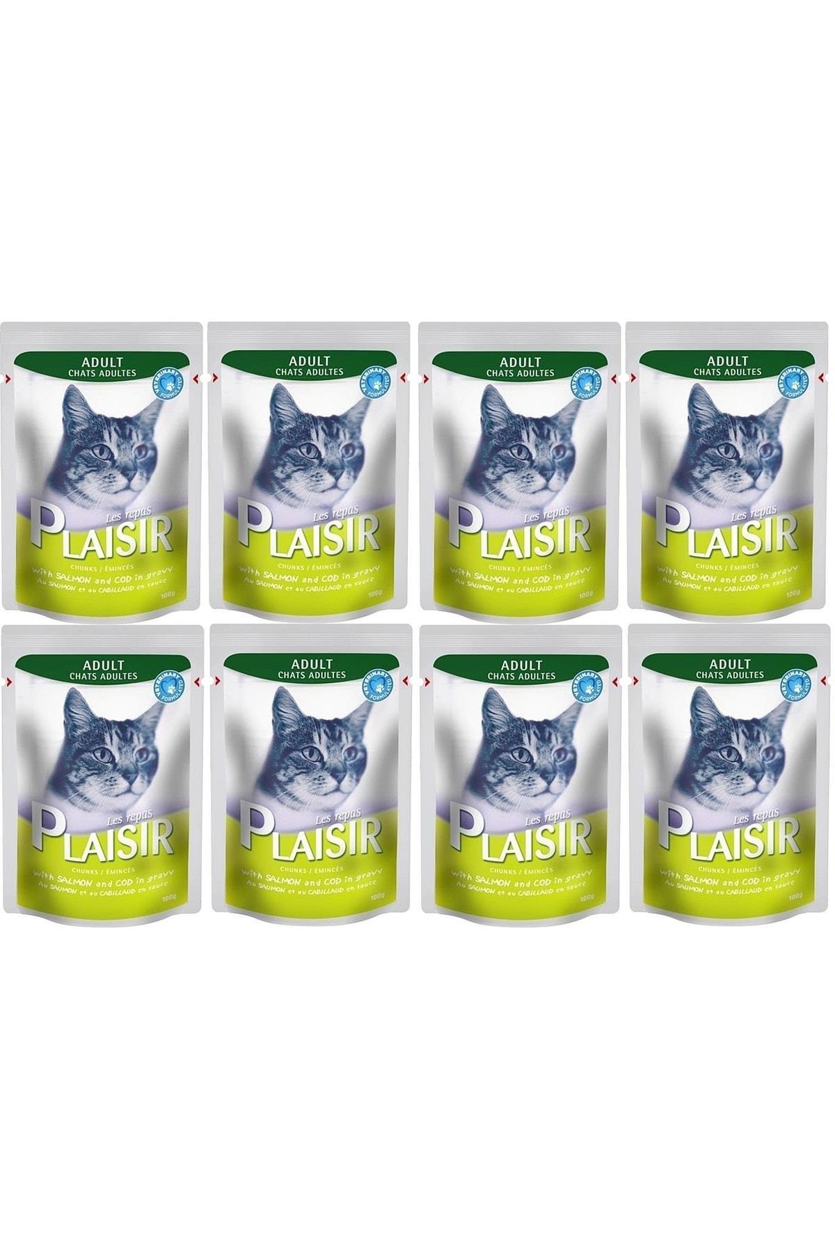 Plaisir Pouch Somon Morina Balıklı Yaş Kedi Maması 100 gr 8 Adet