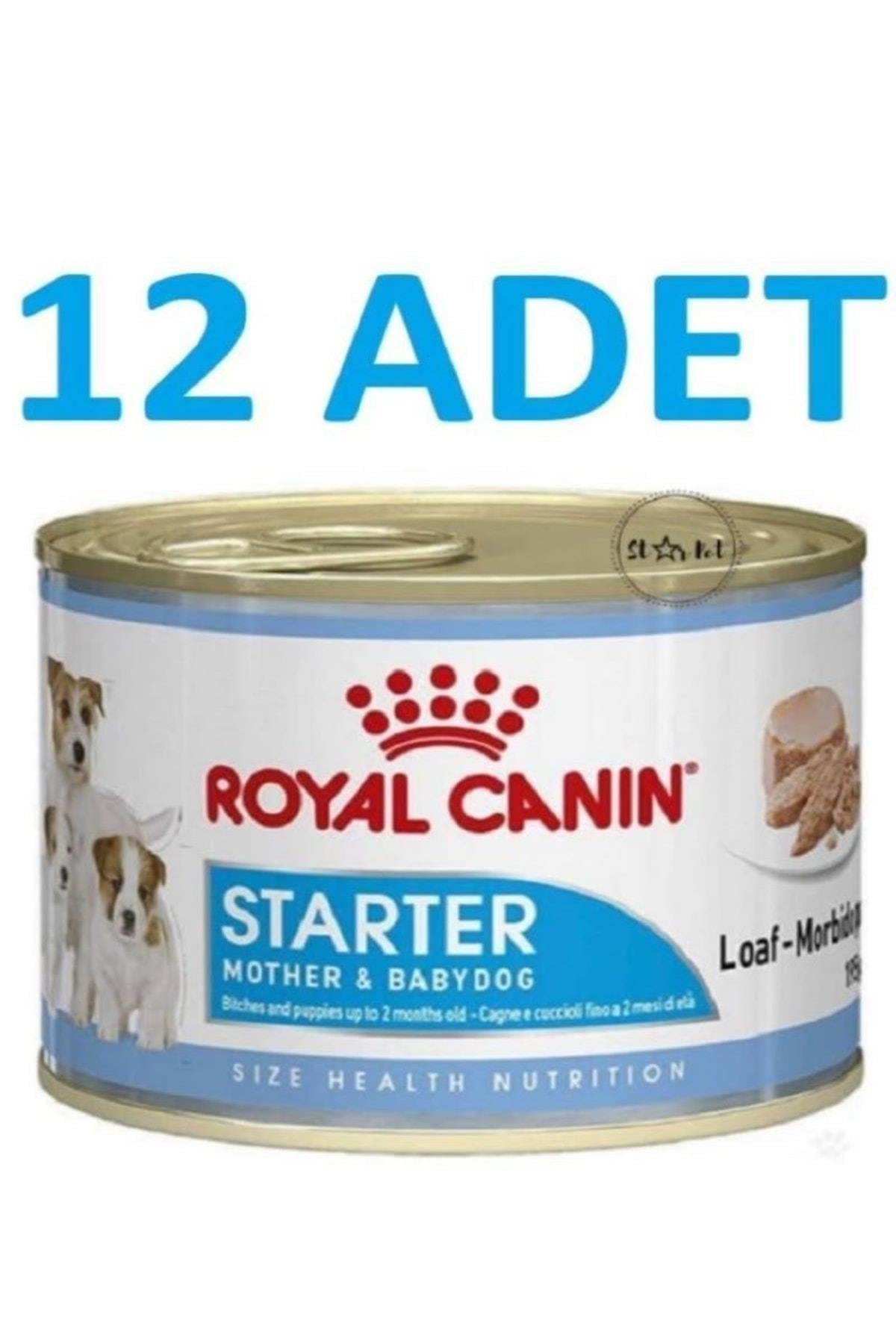 Royal Canin Starter Mousse Anne Ve Yavruları Için Köpek Konservesi 195 gr X 12 ADET