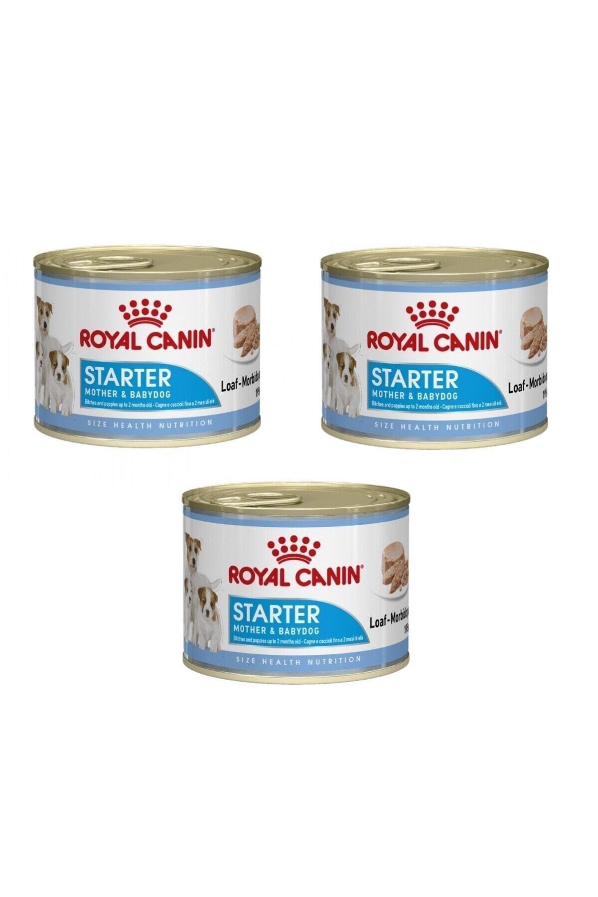 Royal Canin Starter Mousse Anne Ve Yavruları Için Köpek Konservesi 195 gr x 3 ADET