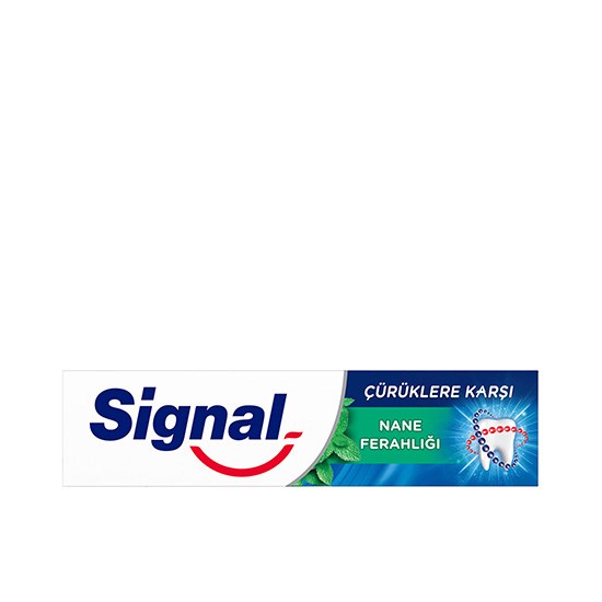 SİGNAL DİŞ MACUNU 100ml ÇÜRÜKLERE KARŞI NANE *48
