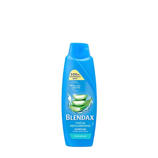 BLENDAX ŞAMPUAN 500ml KURU SAÇ ALOEVERA
