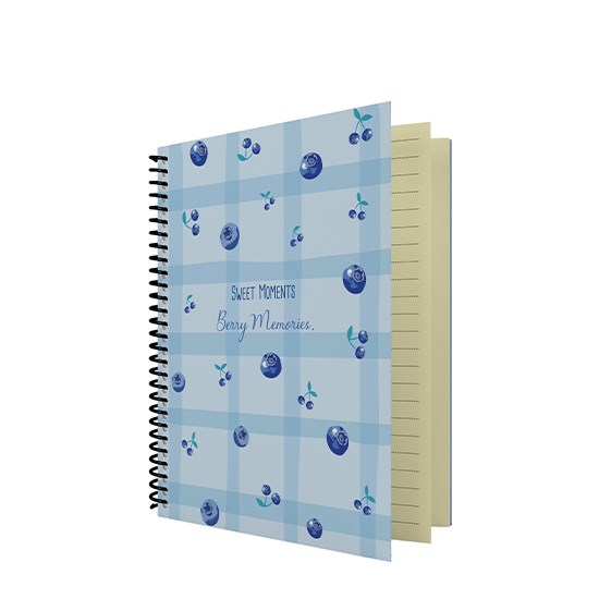 DEFTER DİLMAN MEYVE 16x22 60Y KARELİ KARTON KAPAK