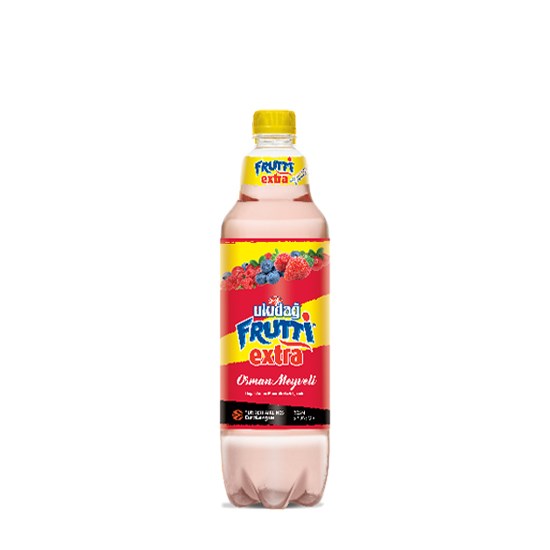 ULUDAĞ FRUTTİ 1lt ORMAN MEYVELİ SODA*12