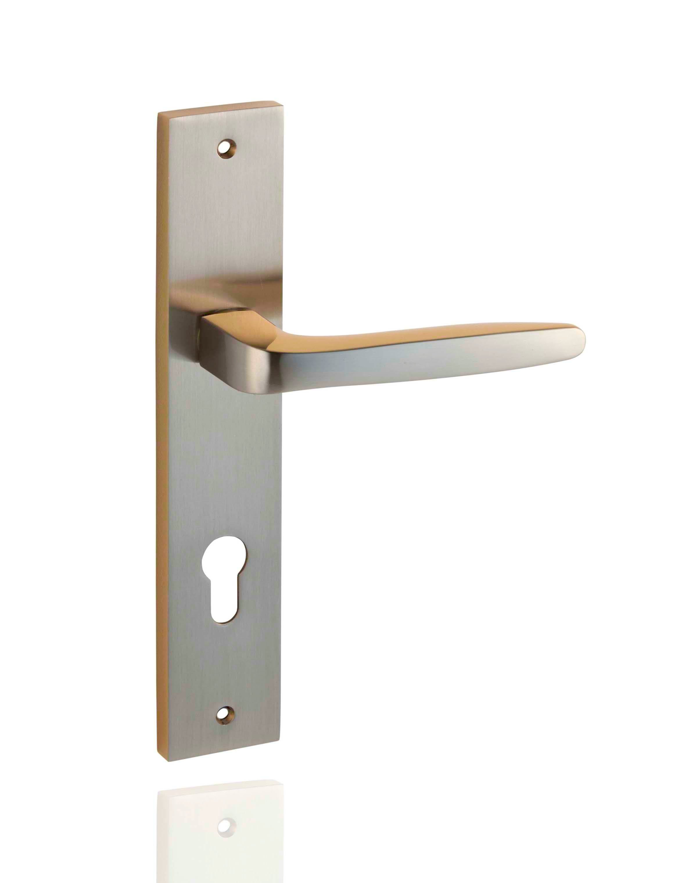 Berlin Aynalı & Rozetli Kapı Kolu