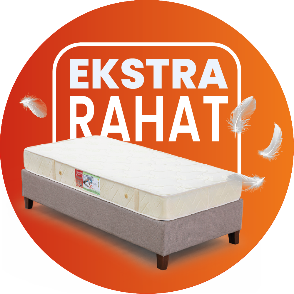 Modern Koltuk Modelleri