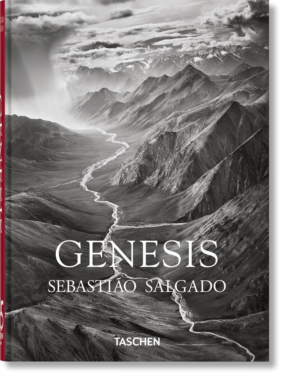 45 Ed - Salgado Genesis
