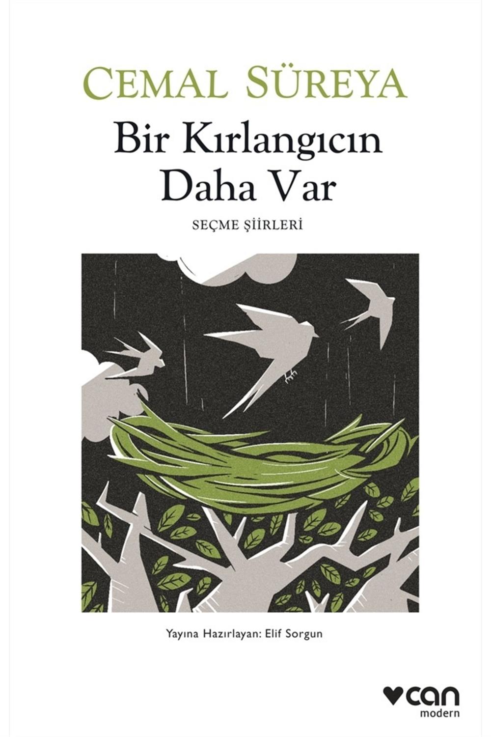 Bir Kırlangıcın Daha Var
