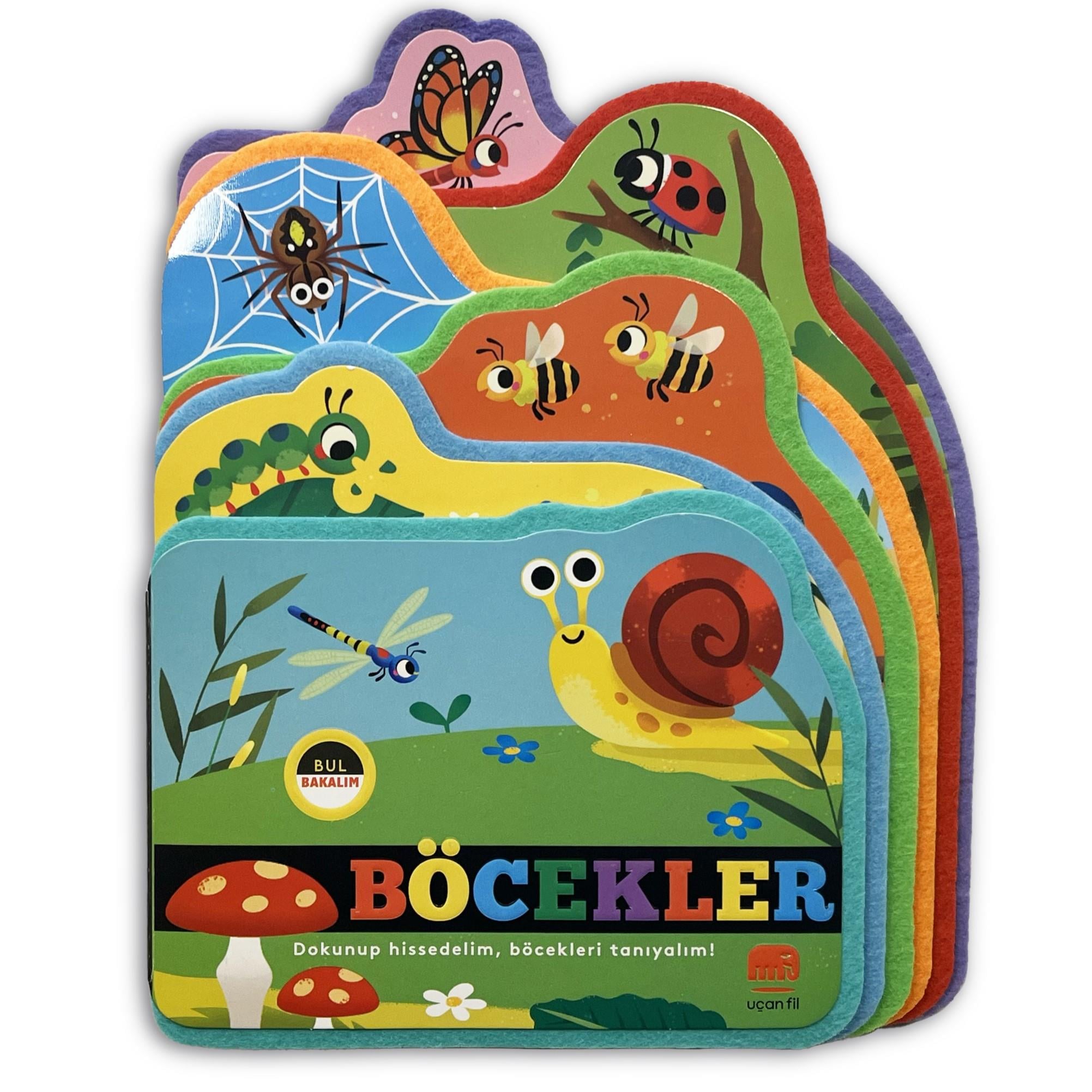 Bul Bakalım Böcekler