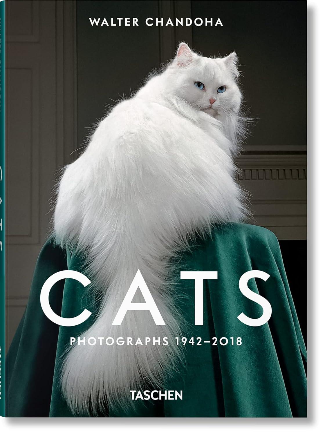 Cats - Photographs