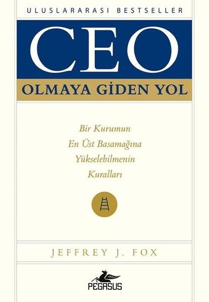 Ceo Olmaya Giden Yol