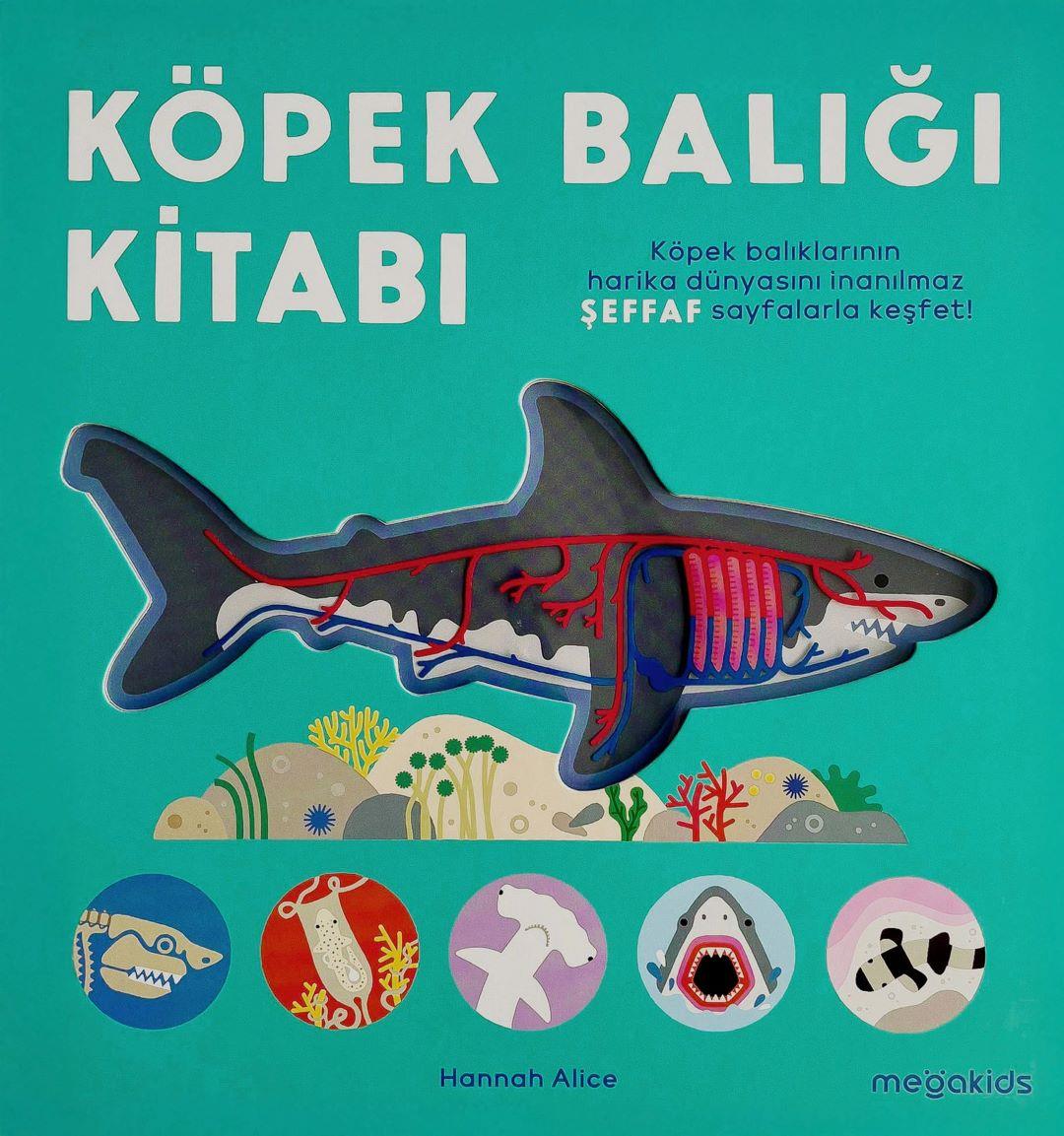 Köpek Balığı Kitabı