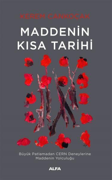Maddenin Kısa Tarihi