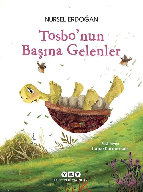 Tosbo'nun Başına Gelenler