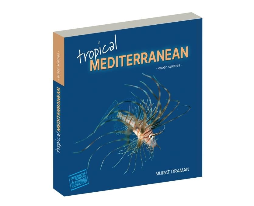 Tropical Mediterranean