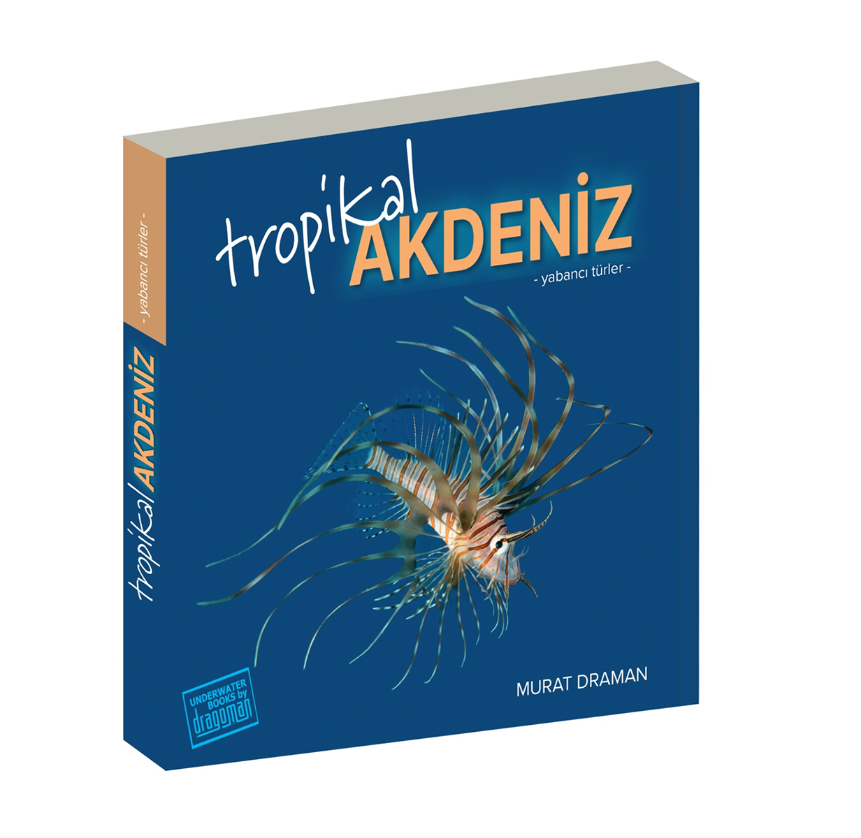 Tropikal Akdeniz