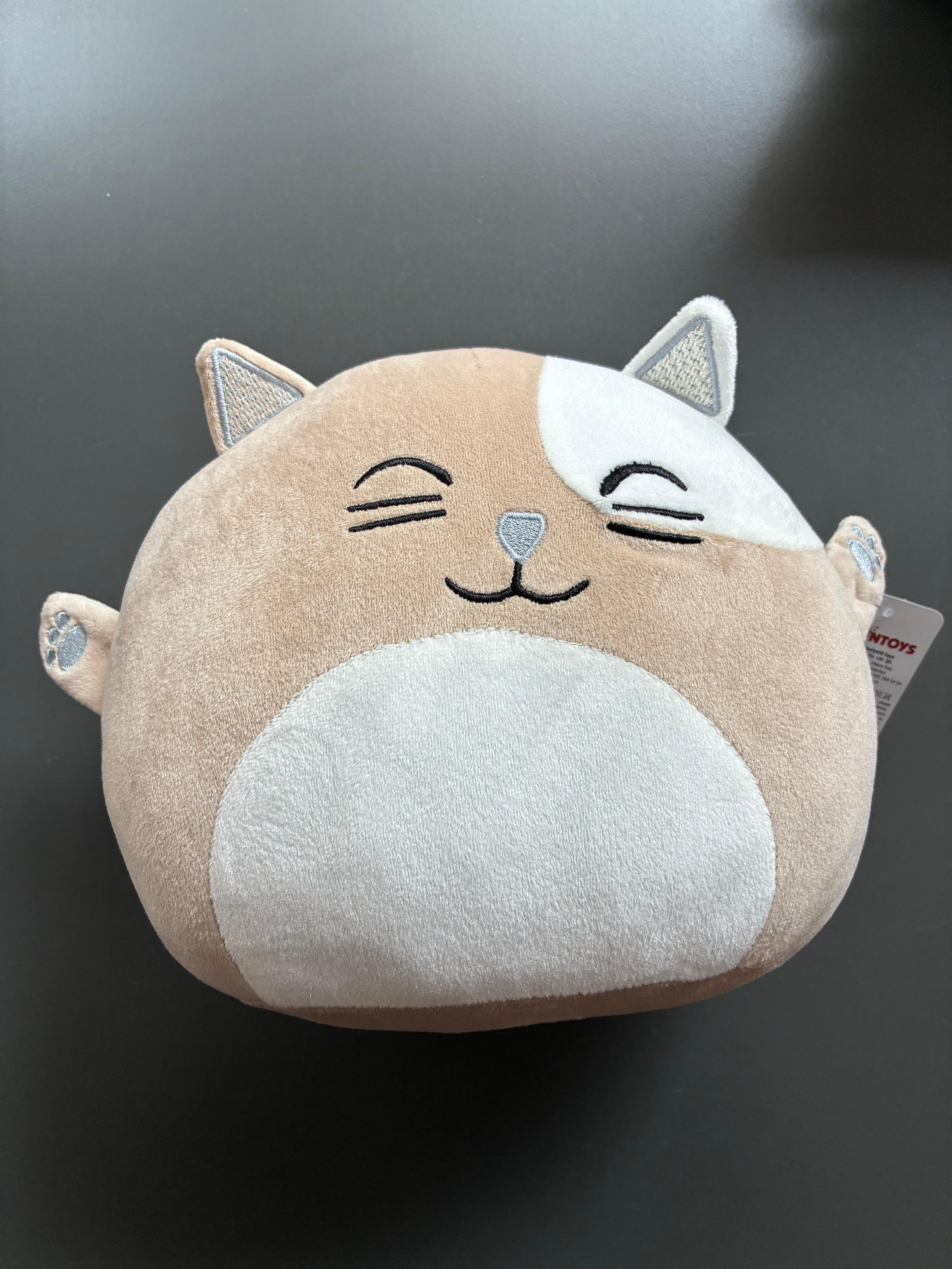 35 cm Yumuşak Kedi Yastık