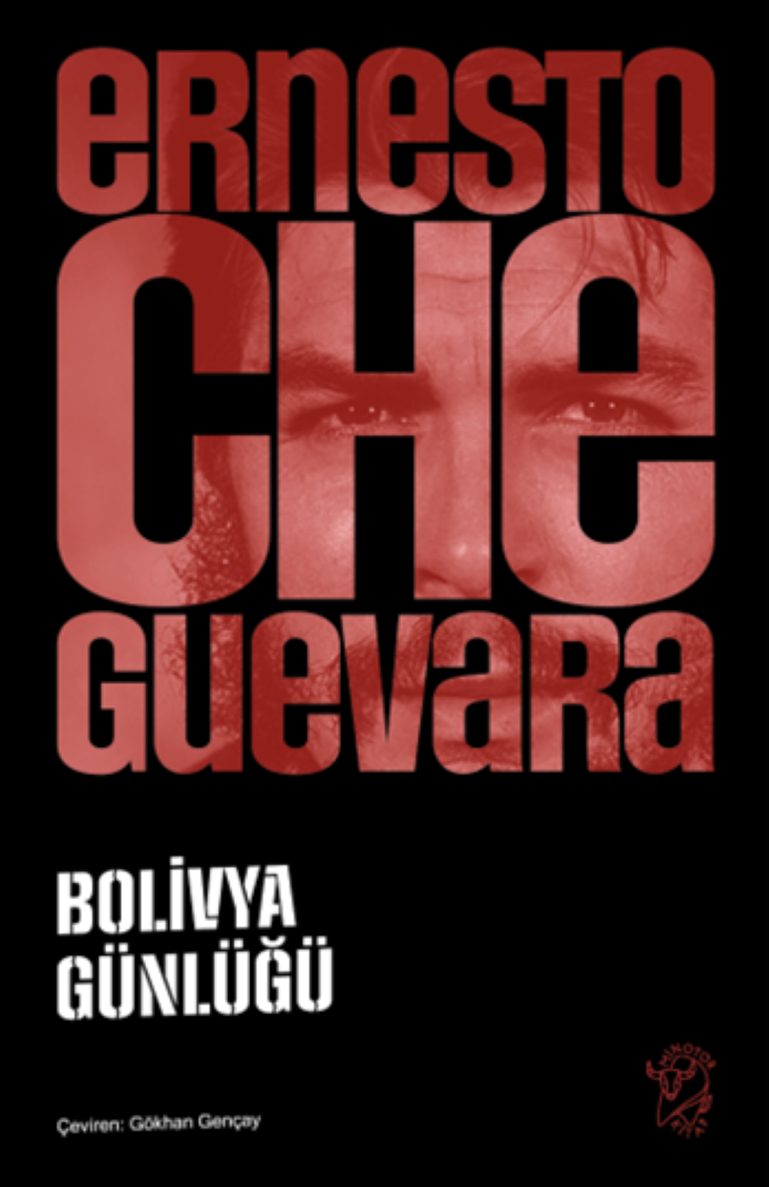 Bolivya Günlüğü