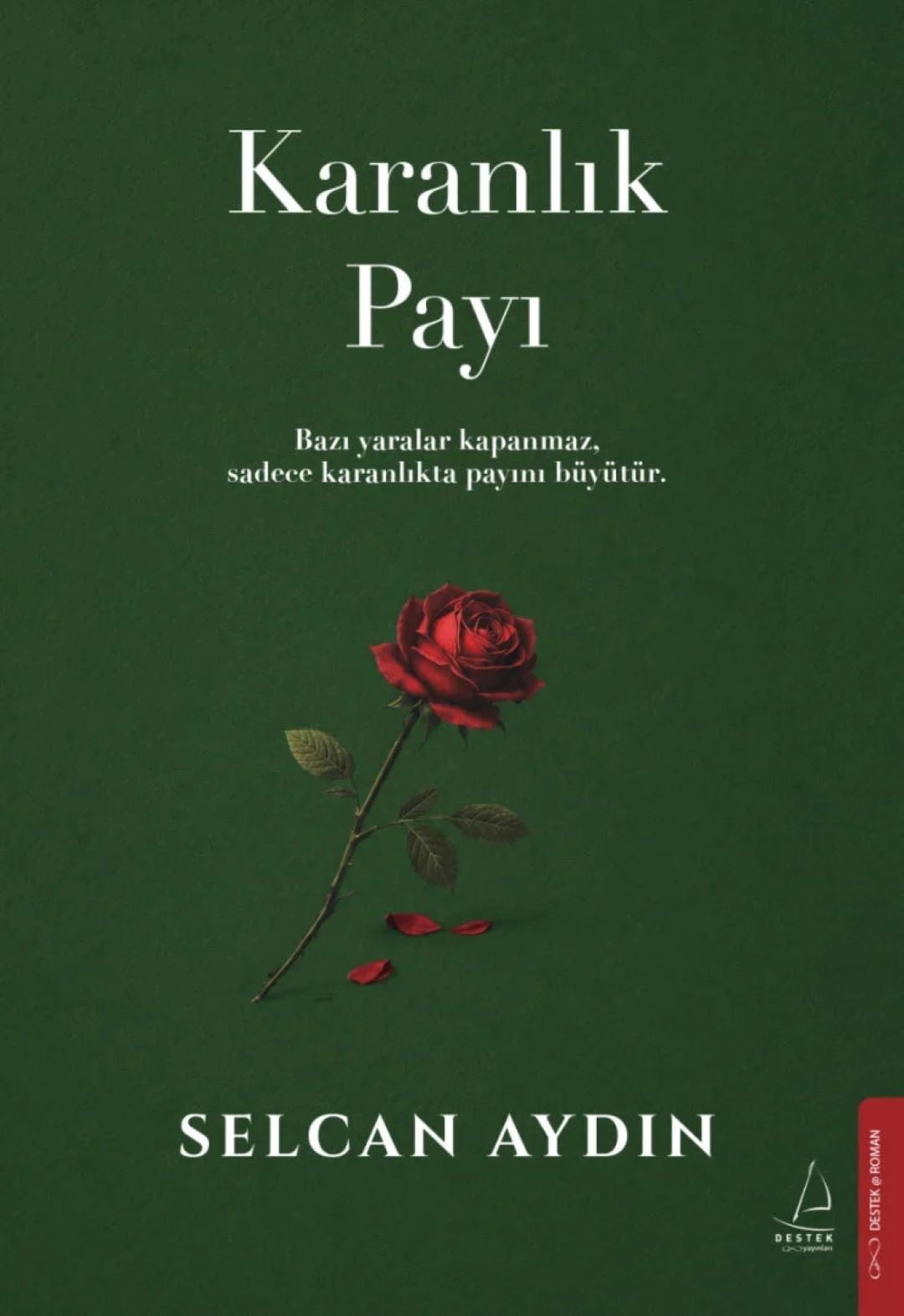 Karanlık Payı