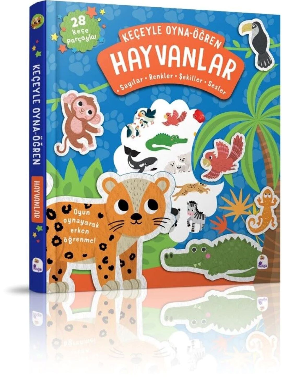 Keçeyle Oyna - Öğren Hayvanlar