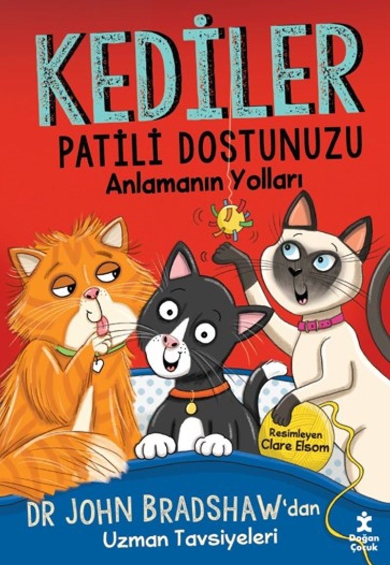 Kediler Patili Dostunuzu Anlamanın Yolları