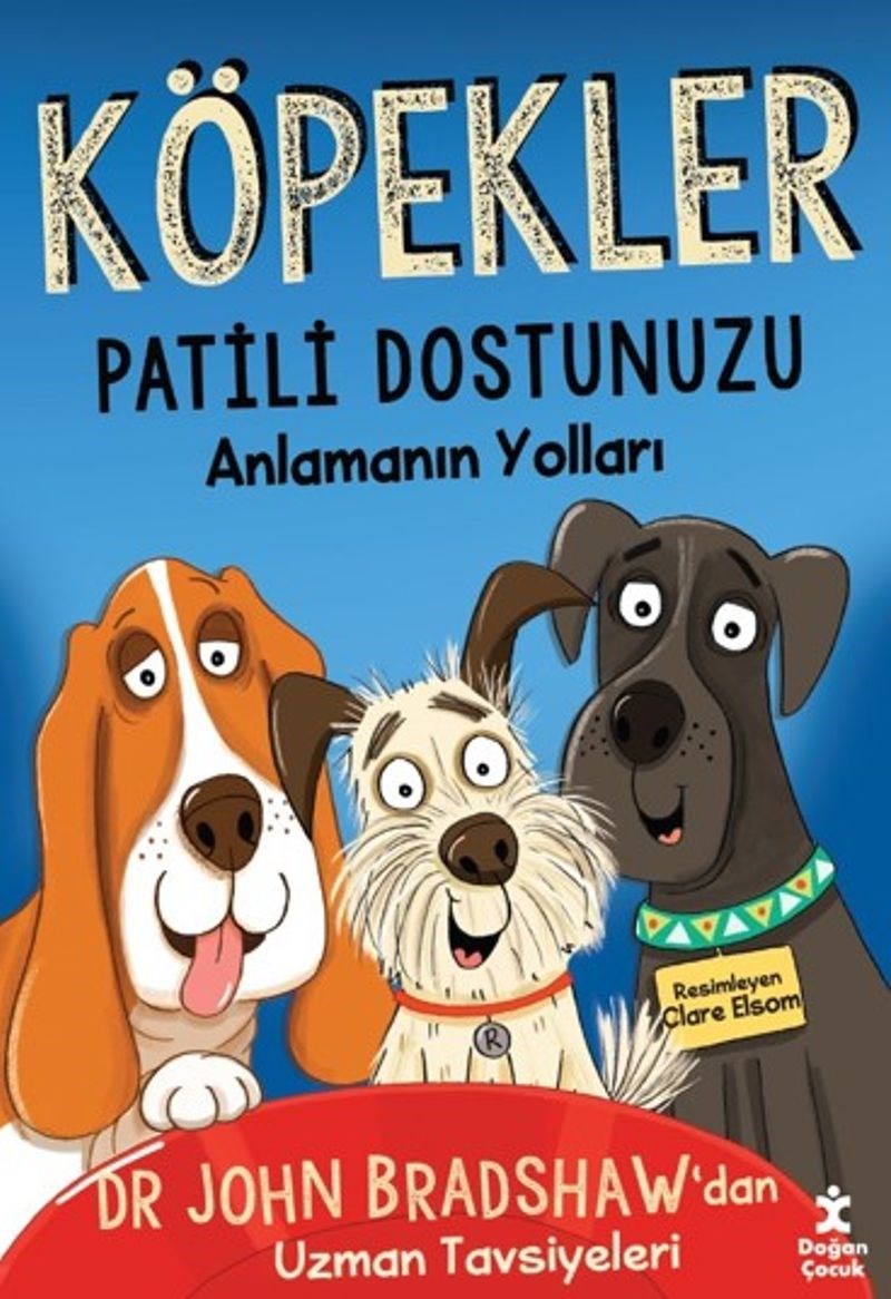 Köpekler Patili Dostunuzu Anlamanın Yolları