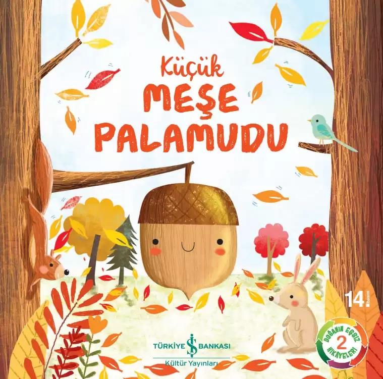 Küçük Meşe Palamudu